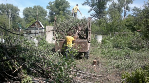 Про світ рослин і заміського життя. Як очистити ділянку від дерев і чагарників
