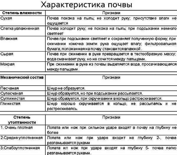 Планування заміського ділянки 15 соток квадратної форми