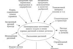 Про світ рослин і заміського життя. Як очистити ділянку від дерев і чагарників